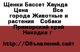 Щенки Бассет Хаунда  › Цена ­ 25 000 - Все города Животные и растения » Собаки   . Приморский край,Находка г.